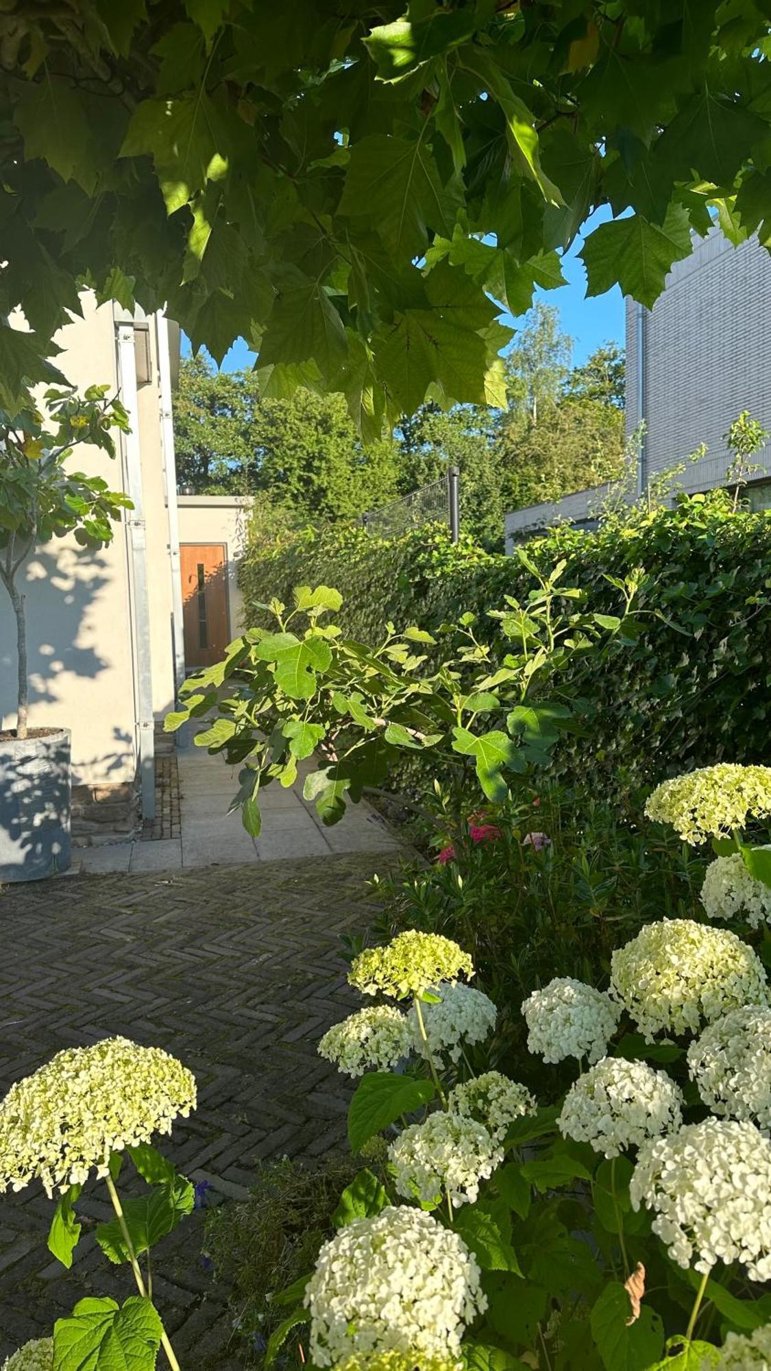 Luxe B&B "In De Schulp", Ontspan En Geniet Van Comfort En Stijl Amstelveen Bagian luar foto