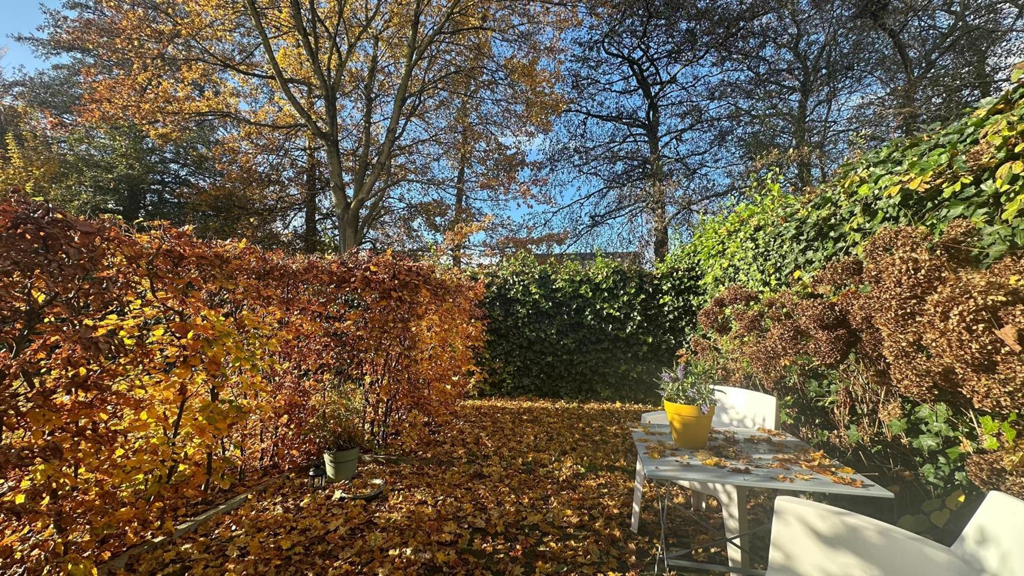 Luxe B&B "In De Schulp", Ontspan En Geniet Van Comfort En Stijl Amstelveen Bagian luar foto